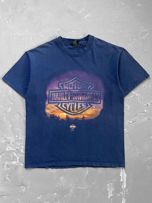 2000 Harley Davidson Sunset Tee [L]