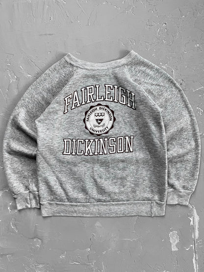 1980s “Fairleigh Dickinson” Champion Sweatshirt [S]