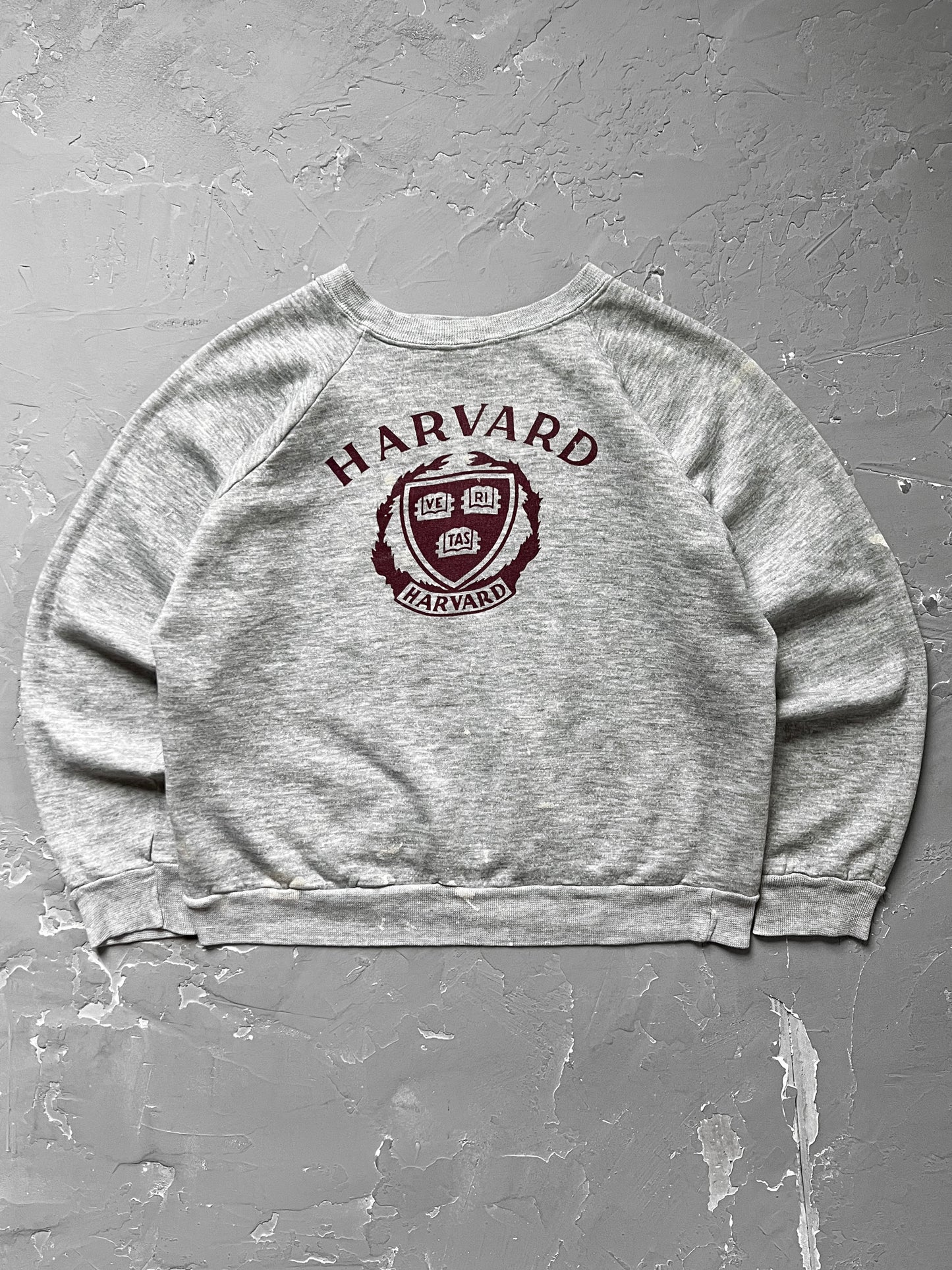 1980s Harvard University Champion Raglan Sweatshirt [L]