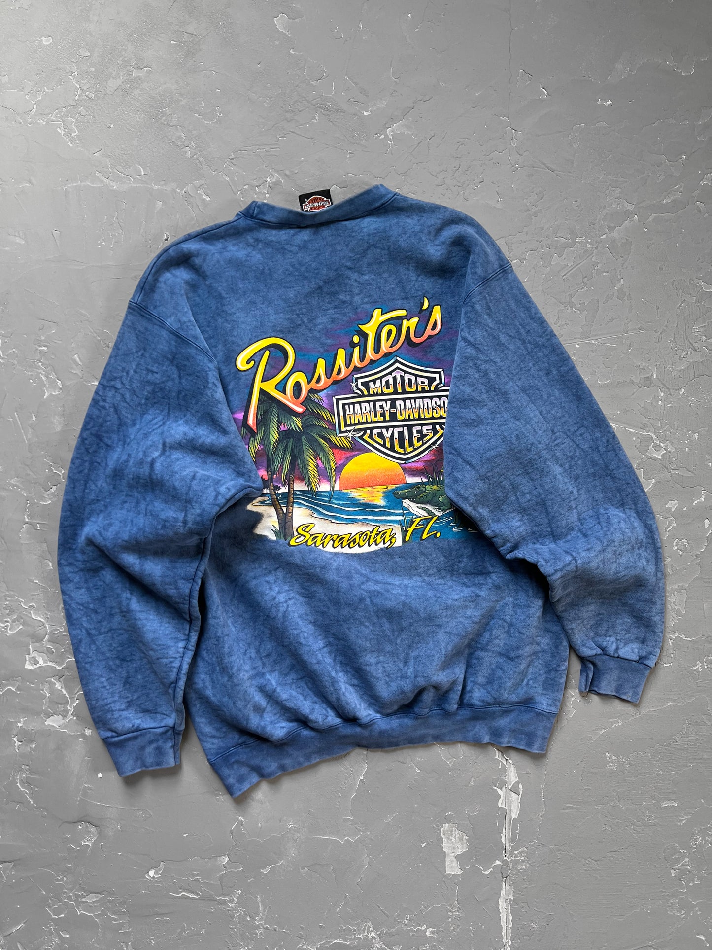 2001 Harley Davidson Sweatshirt [L]