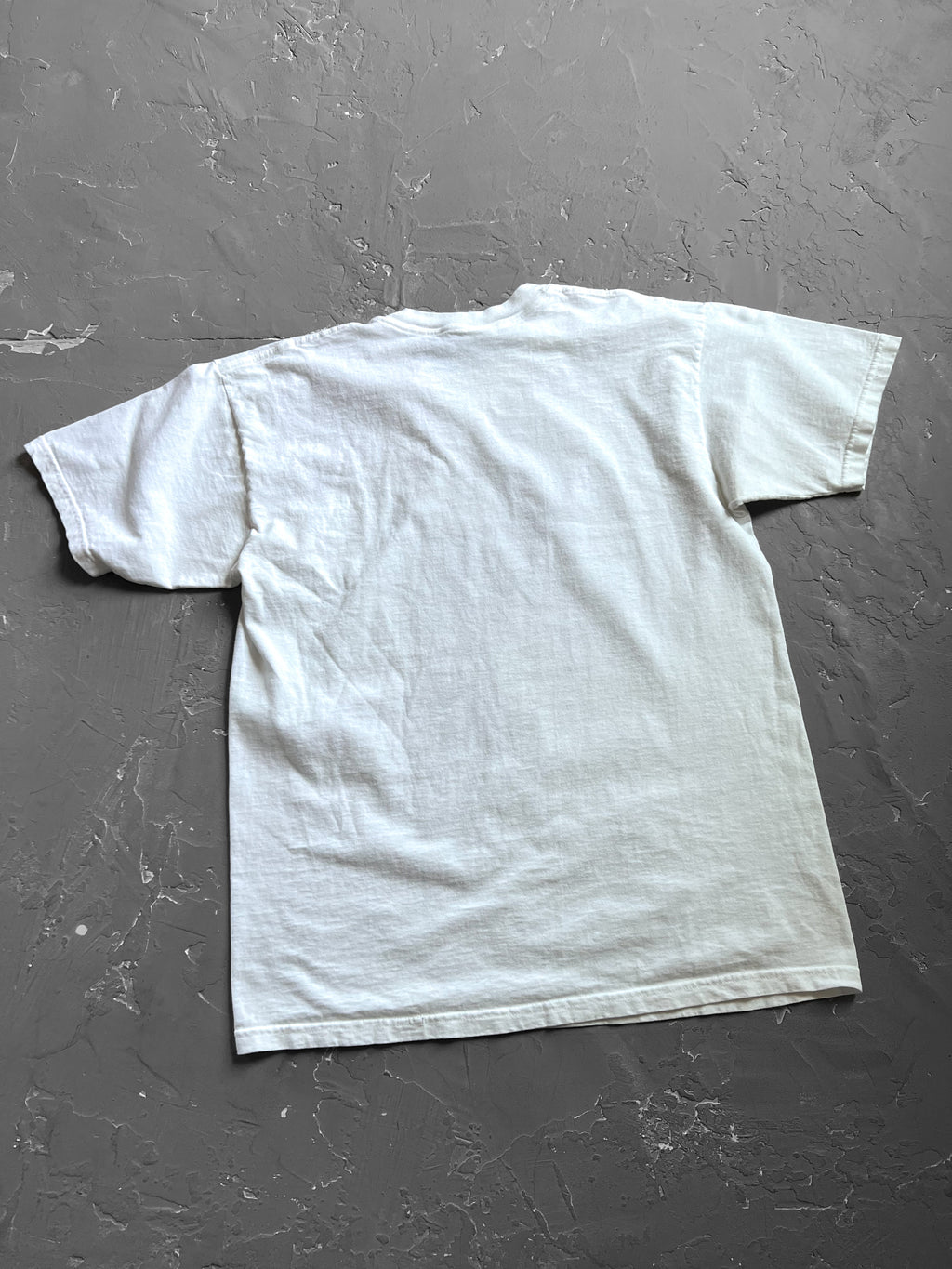 2000s Charles Darwin Tee [L]