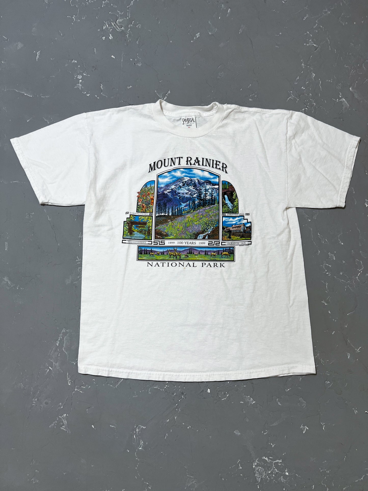 1999 Mount Rainer Tee [L]