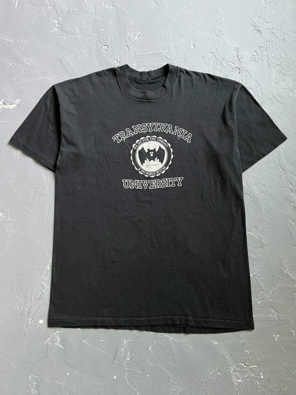 1980s Faded Black Transylvania University Tee [L]