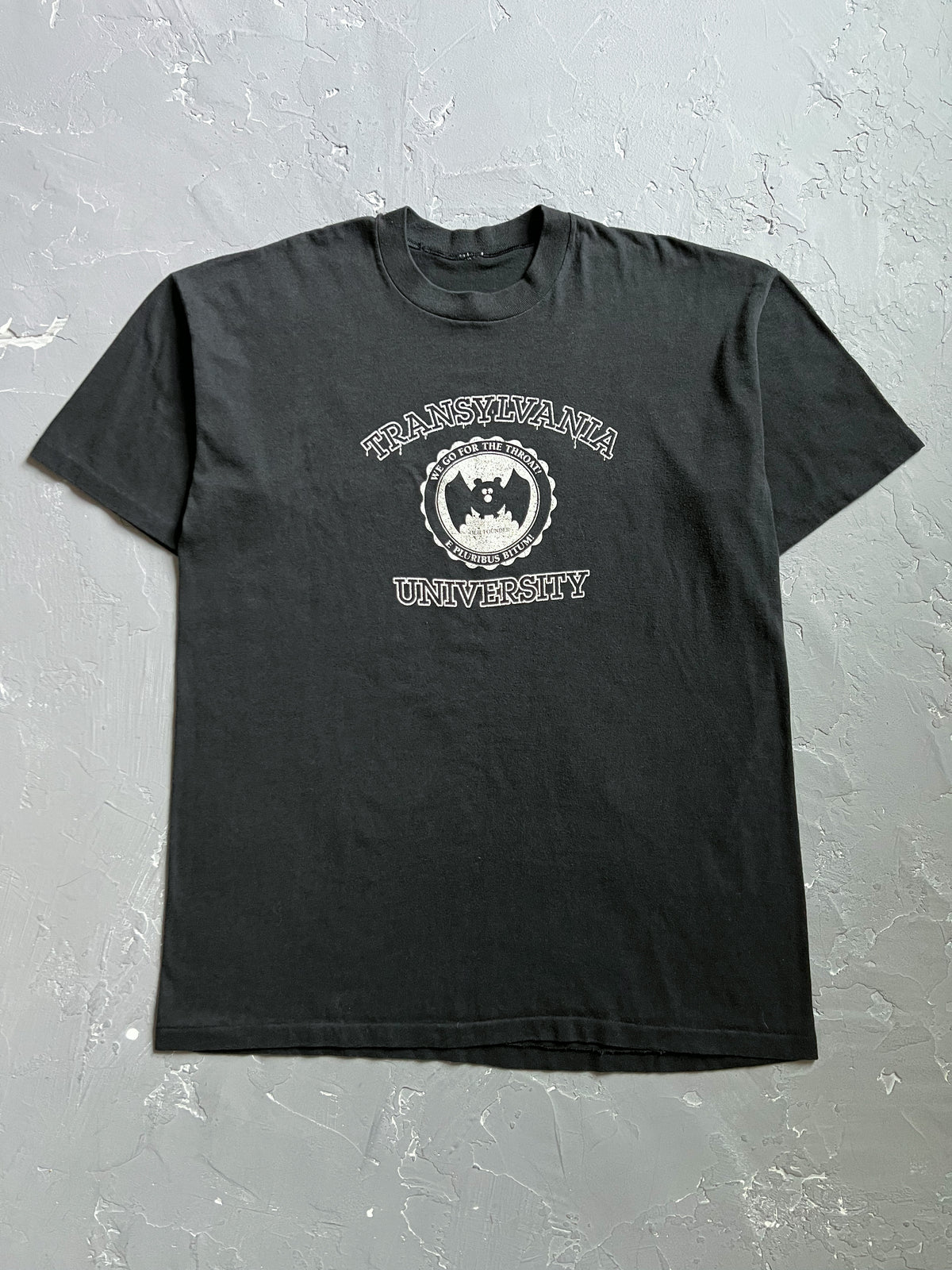 1980s Faded Black Transylvania University Tee [L]