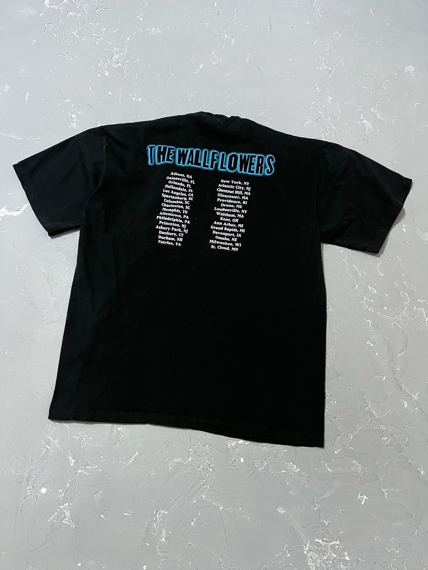 1990s The Wallflowers Tour Tee [XL]