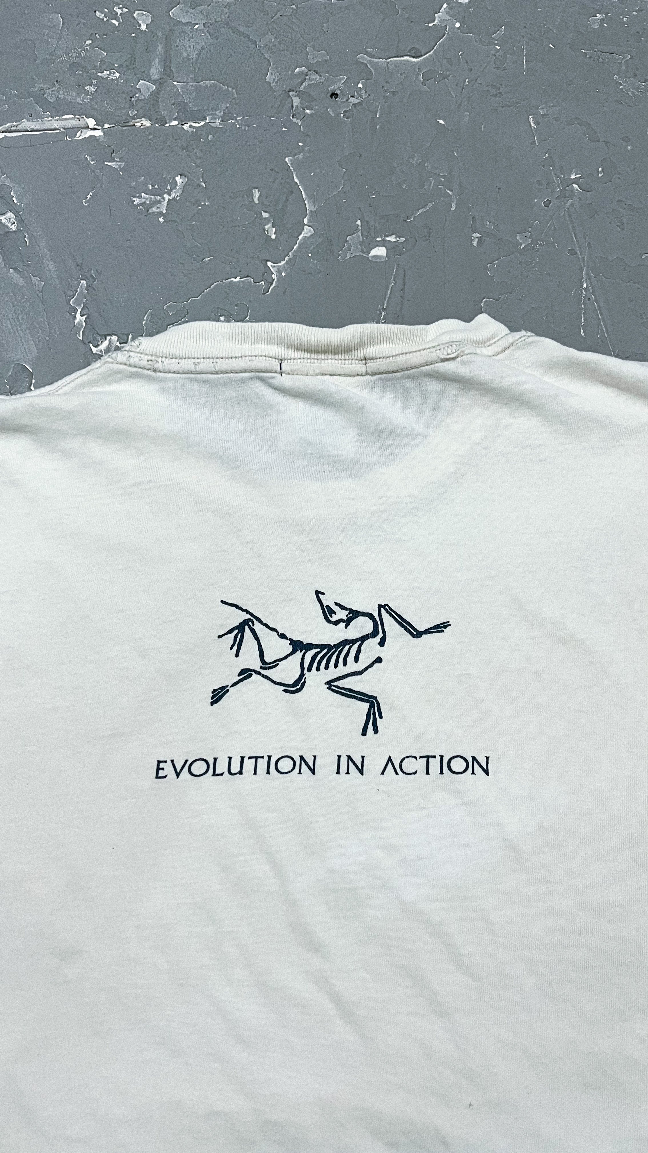 1990s Arc'teryx “Evolution In Action” Tee [XL]