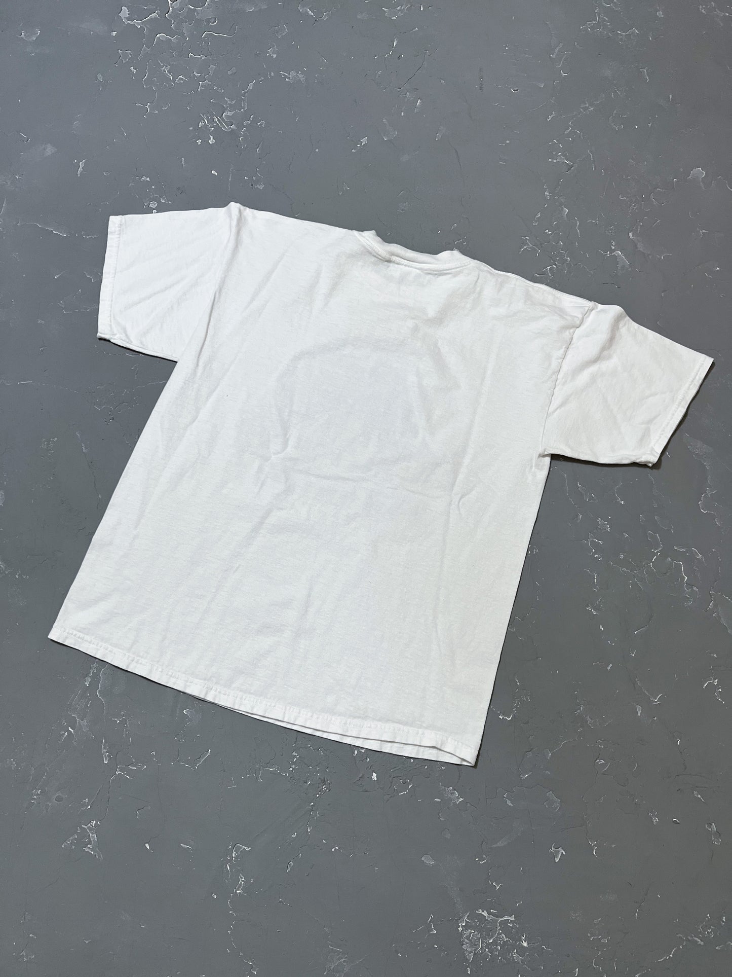 1999 Mount Rainer Tee [L]