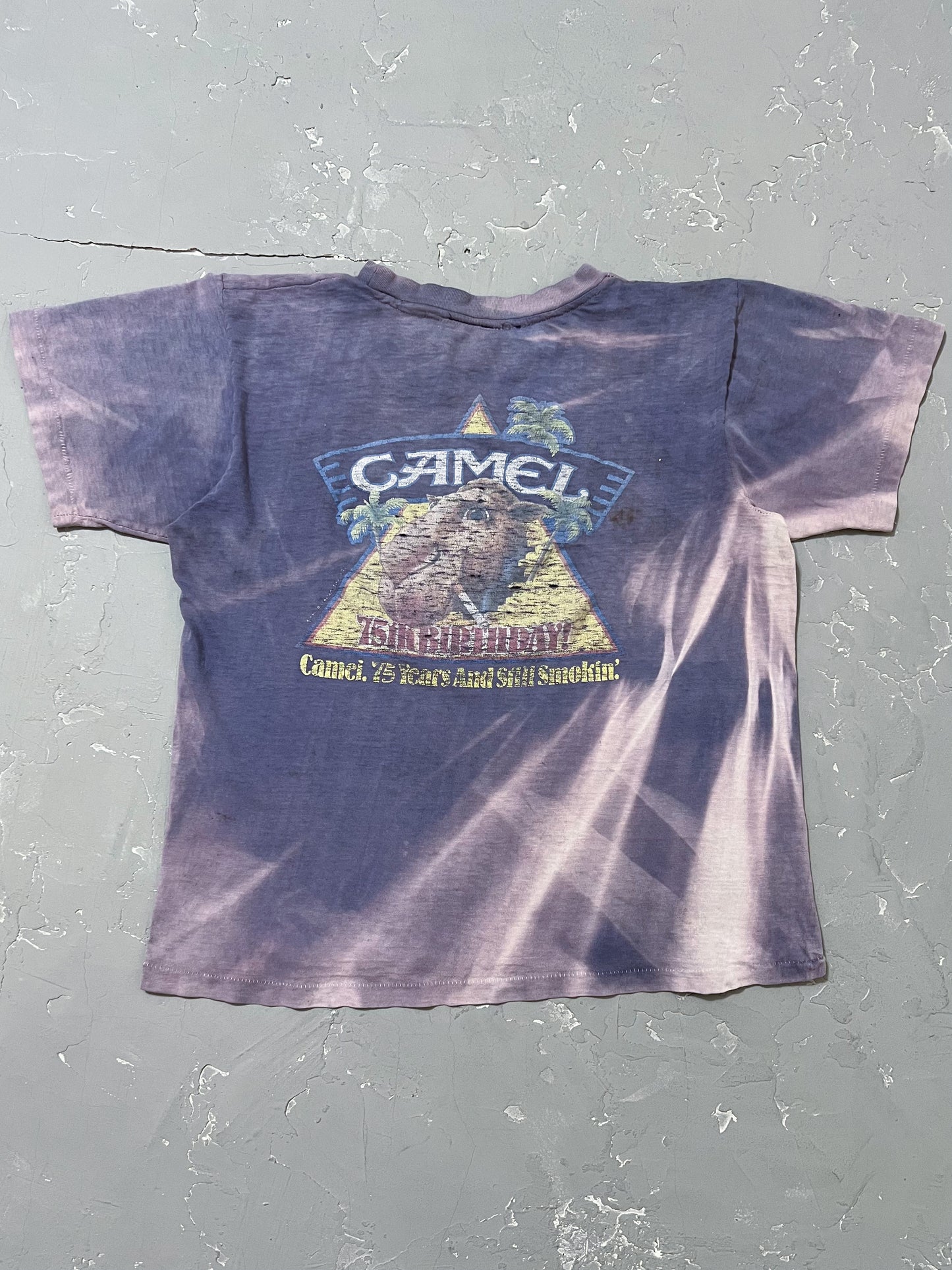 1988 Sun Bleached Camel Tee [M]