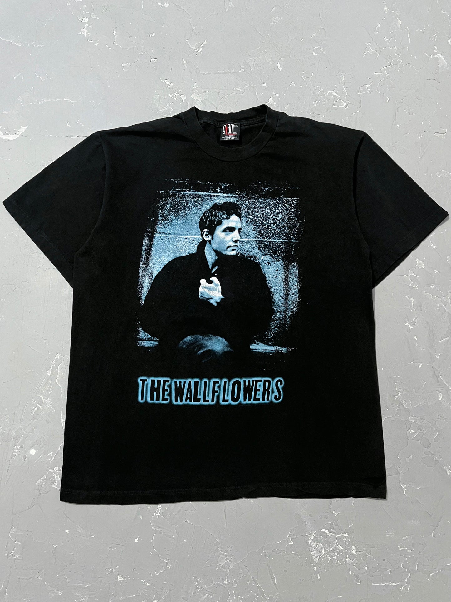 1990s The Wallflowers Tour Tee [XL]